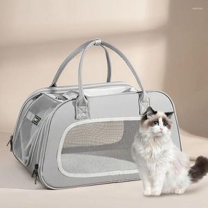 Cat dragers Pet draagbaar ademende opvouwbare tas kleine hondendrager met vergrendelingsveiligheid ritsen uitgaande reisdieren Handtas