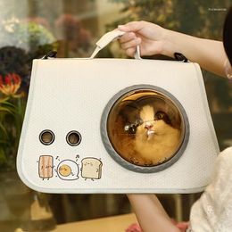 Cat Carriers Pet Portable Space Cartoon Takeaway Bag Pliable One Shoulder Outing Backpack