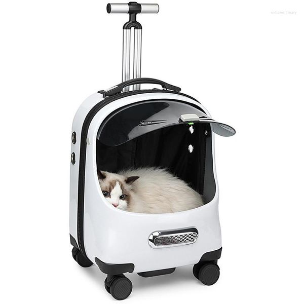 Transporteurs de chat transporteur roulant pour animaux de compagnie sac à dos pour chien avec roues chats chiots sac de voyage chariot