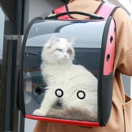 Portadores de gatos Bolsa de espacio para mascotas Pvt fuera de hombro transporte transparente transparente viajar mochila para perros transpirables