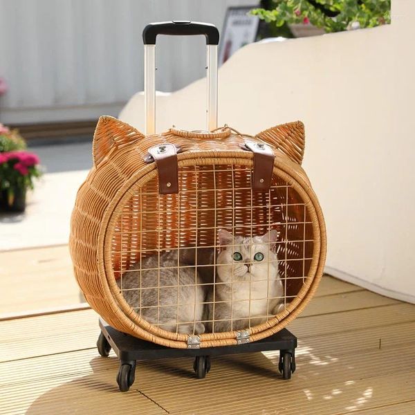 Transportadores para gatos, carrito para mascotas, caja para salidas, carrito de equipaje, viaje para perros, portátil, ligero, casa de cinco ruedas, suministros para mascotas, regalo