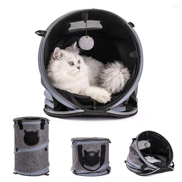 Transporteurs de chat fournitures pour animaux de compagnie multifonctionnel porté à la main chiot Dag Tunnel jouet cartable extérieure pliante voiture chenil