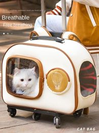 Porte-chats, boîte à chariot pour animaux de compagnie, sac de sortie, valise portable, sac à dos, produits de voyage