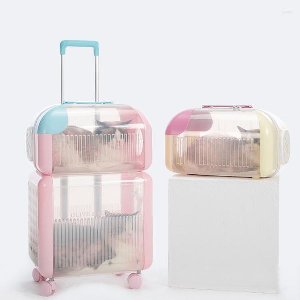 Portadores de gatos Pet Trolley Cats Transporter Small S transportan animales Sac Transporte Chat Dogs Accesorios