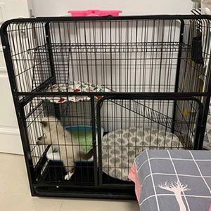Cat dragers Petime Pet Cages grote vrije ruimte met zonnedak vetgedrukte vierkante buis zwarte hond