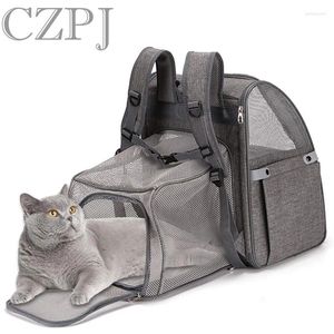Transporteurs de chats animaux de compagnie accessoires portables pliage agrandis