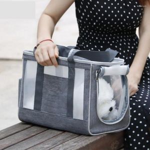 Transporteurs de chats animaux de compagnie sort en portant un sac portable chien d'été respirée sac à dos chiot pour animaux de compagnie de transport à main