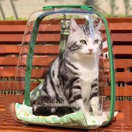 Portadores de gatos mochila plástica transparente gran tamaño al aire libre bolso portátil ventilación kattenmand mascotas accesorios