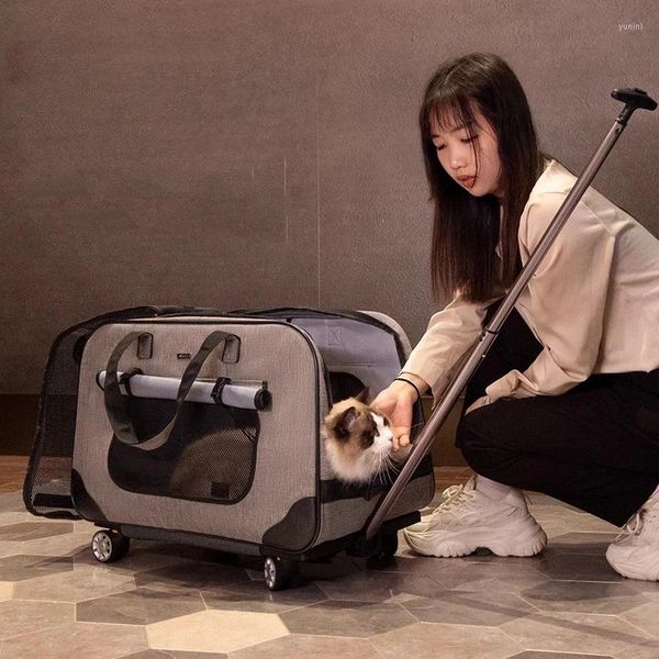 Mochila portátil para transportar gatos con maleta con espacio Extra, cochecito para perros y animales, 4 ruedas, ventilación, accesorios para mascotas