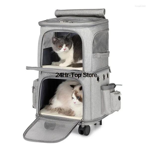 Kattenmand – porte-chat Portable, Double couverture de pluie, léger, pour hommes, voyage, Ventilation, 4 roues, fournitures pour animaux de compagnie