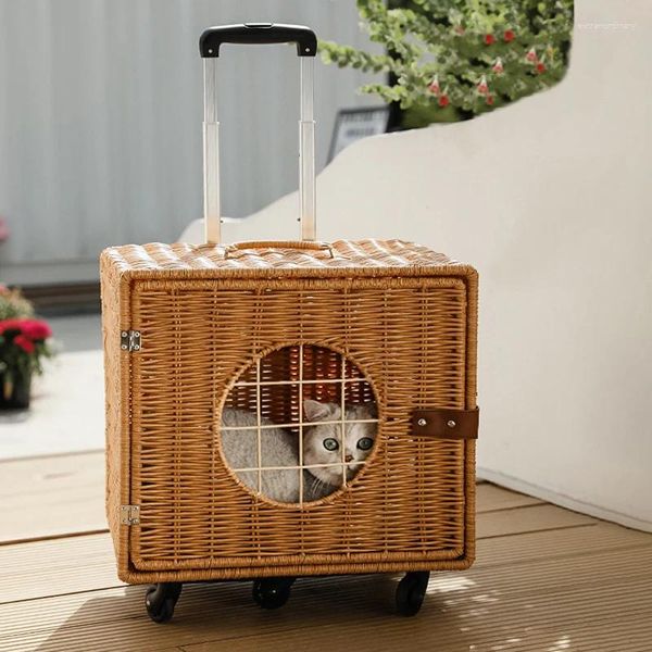 Transportadores para gatos, cochecito de transporte portátil, Maleta transparente de viaje para mascotas, 4 ruedas, Buggy Honden para exteriores, productos para mascotas, perros