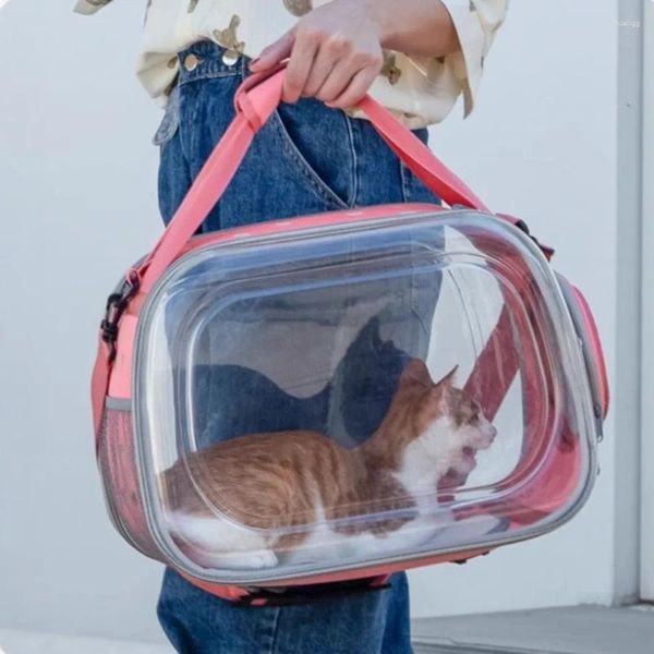 Porte-chats Portable sac de transport extérieur respirant voyage sortant transportant des chats mignons sac à dos espace Transparent Mochilas transporteur pour animaux de compagnie