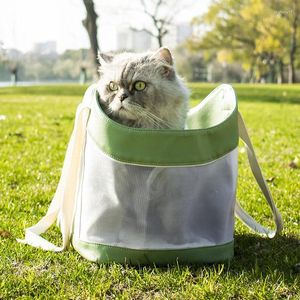 Sac portatif pour animaux de compagnie de transport de chat pour les fournitures à emporter lors des sorties