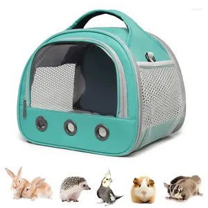 Sac de transport Portable pour petits animaux, Cage à cochon, pour Hamster, hérisson, perroquets, Rat et autres animaux