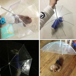 Portadores de gatos portátiles transparente caminata pequeña paraguas para mascotas para perros con cadena Mantenga seca en la lluvia herramienta de equipo al aire libre