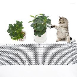 Porte-chats brochettes bandes de piquants produits pour animaux de compagnie arbres de sécurité pic en plastique maille pour chien écologique pointes faciles à utiliser répulsif prévenir