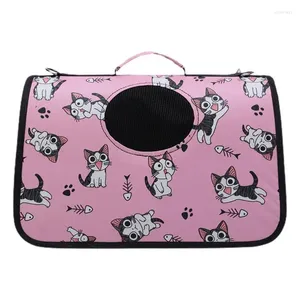 Katdragers kleine hondendragerszak Adem Fashionable Duffle Bags Creatieve waterdichte Oxford Doek Doek Denkdieren Dogs Supplies