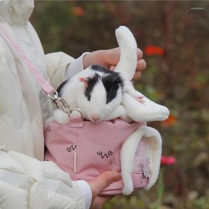 Cat dragers kleine huisdierdragerzak Little Outing Backpack House Nest draagbare hamster Travel enkele schouderhandtas