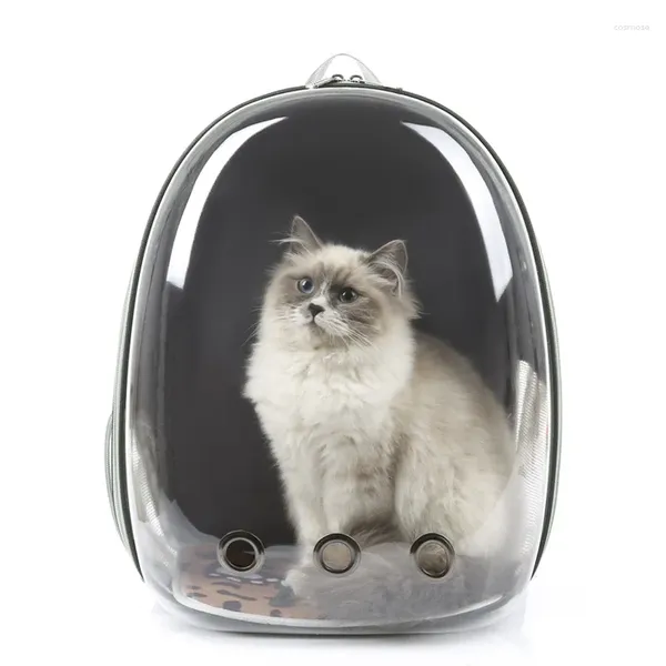 Catapeantes de gato Space Pet Transport Bag For Cats Bolsas pequeñas Mochila de mochila Animales Accesorios de viaje