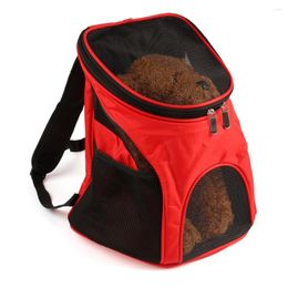 Porte-chats TAILUP Voyage pour animaux de compagnie Sac de transport en plein air Sac à dos Produits de transport Fournitures pour chats Chiens Transport Animal Petits animaux Cag