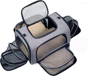 Sac de transport pour chats, sac de voyage extensible sur 4 côtés pour animaux de compagnie, fourre-tout de Transport pliable à côtés souples pour chatons, chiens et petits animaux