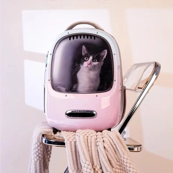 Sac de voyage porte-chat pour filles, fermeture éclair, Portable, épaules extérieures, respirant, valise esthétique, Kedi Malzemeleri pour animaux de compagnie