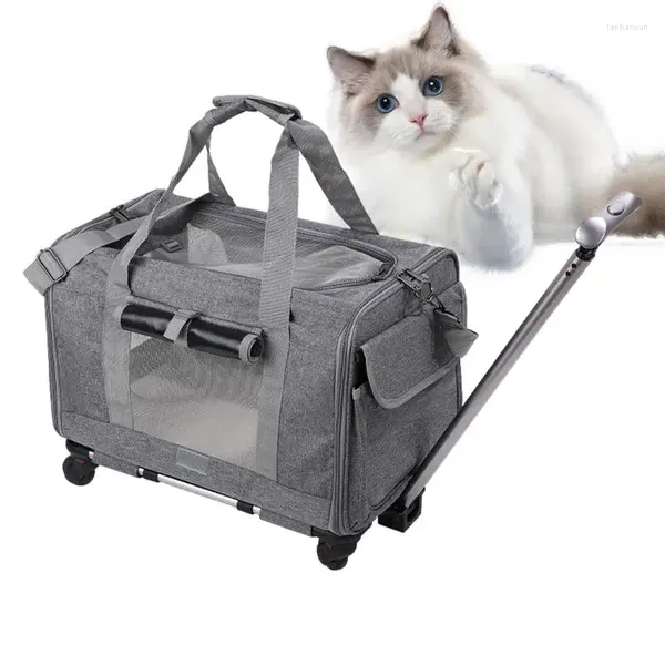 Transporteurs de chat transporteur de voyage animal de compagnie pour petits chats chiens sac avec fermetures à glissière de sécurité compagnie aérienne à roulement souple