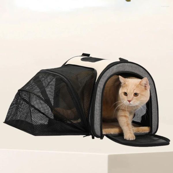 Transporteurs de chats voyager des chats uniques sac à dos grand maille épaule spatiale transportant un sac de chien portable fille sortante mochila para gato accessoires