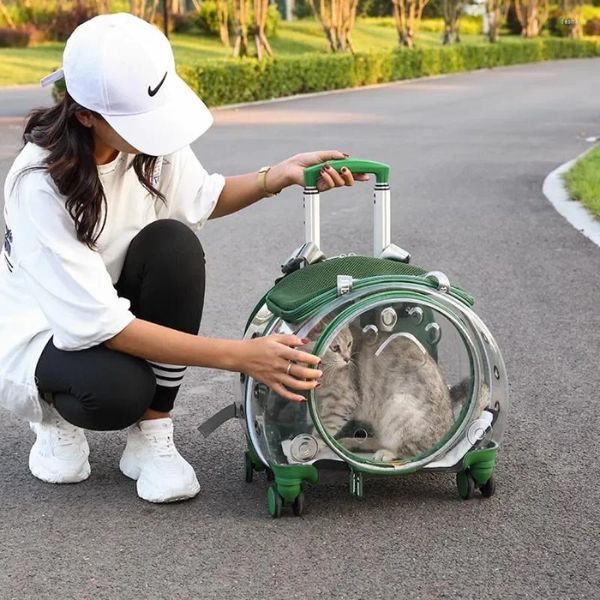 Transportadores para gatos, mochila de viaje, estuche de diseñador, bolsa con ruedas transparente, carrito verde de plástico con ruedas, Mochilas para mascotas