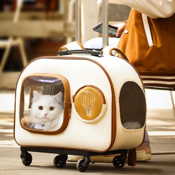 Porte-chat Ventilation chien Animal poussette 4 roues Transparent Portable porte-valise extérieur léger Bolso chariot