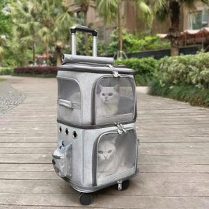 Cat Carriers Wheels Unique Carry Bag Large Space Transporter Outdoor Draaghonden rugzak draagbare meid Mochila para gato huisdier items