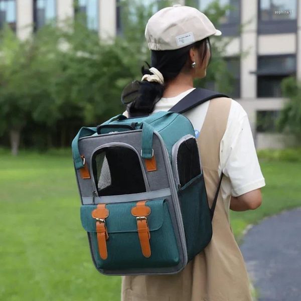 Porte-chats Transport de fenêtre transportant un sac de voyage respirant sac à dos de transporteur d'espace pour chien de compagnie