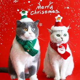 Vêtements de Noël pour chat Écharpe Chapeau Ensemble Écharpes tricotées Vêtements pour chiens Dessin animé Elk Bonhomme de neige Chapeau en peluche Fournitures de dressage de Noël pour animaux de compagnie 240309