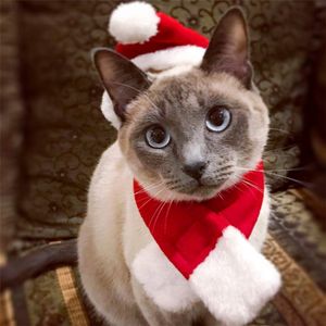 Chat Chapeau De Noël Costume De Chat De Noël Santa Chapeaux Écharpe Ensemble Chaud Cadeau De Noël Adorable Accessoires Chapeau Doux Écharpe Chat Chiot