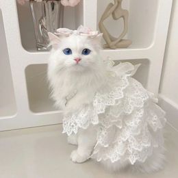 Vêtements de chat en dentelle robes de mariée designer vêtements de chien blanc creux de la princesse en couches robe chat mode mode élégante robes de chien 240507