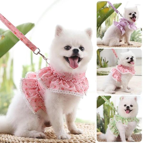 Colliers respirants et mignons pour chiens et chats, ensemble gilet et laisse, vêtements doux pour chiens, chats, chiot, imprimé Floral, sangle de poitrine