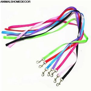 Kat Halsbanden Leads 1Pc Huisdier Aangelijnd Kleine Hond Puppy Kat Konijn Kitten Nylon Harnas Halsband Leiband Hond Benodigdheden Accessoires 6zcx-cx380 231011