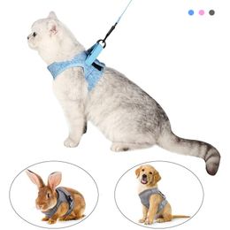 Colliers de chat conduit harnais pour animaux de compagnie réglable avec laisse chaton ceinture AntiEscape léger respirant doux chien lapin gilet câblage 230309