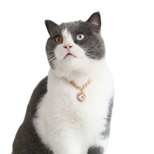 Cat -kragen leidt boetiek Rhinestone edelsteen ketting Pet Collar verstelbare metaal liefde hangers accessoires