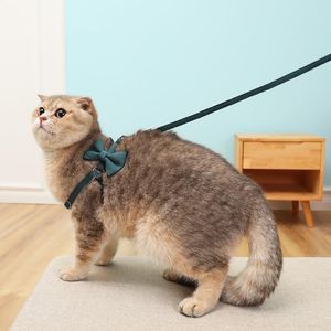 Colliers pour chats, ensemble harnais et laisse à nœud papillon, accessoires durables et mignons pour petits chiens et chats, collier pour chaton, chiot, animal de compagnie