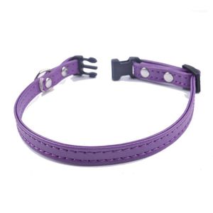 Cat-kragen leidt ontsnapping PU lederen kraag verstelbaar 8-12 'Safty Pet ketting voor puppyhonden katten Purple Pink Black Bruin Blauw Rood