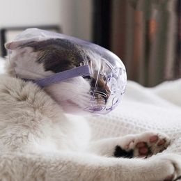 Colliers de chat conduit accessoires de couverture de toilettage pour animaux de compagnie respirants pour chats Gotas mascottes réglables fournitures anti-morsure chiot Kedi couvre-chef Col