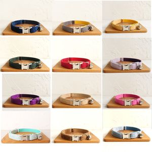 Cat Collars Leads Collar met bel gepersonaliseerde gravure id tag naamplaat kitten ketting kleine honden puppy bulldog chihuahua yorshire 230227