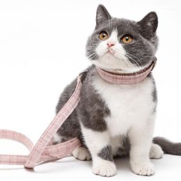 Cat-kragen leidt comfortabel tractierope met schattige berendecoratie verstelbare H-vormige lichtgewicht buitenlucht wandelende huisdierenaccessoires