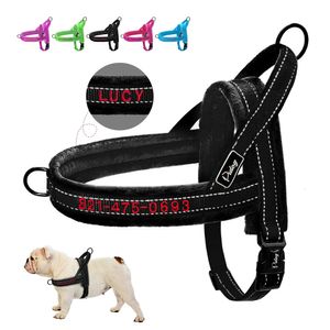 Colliers de chat conduit personnalisé flanelle rembourré chien gilet harnais réfléchissant sans sangle de traction ajustement rapide pour petits grands chiens bouledogue français 231027