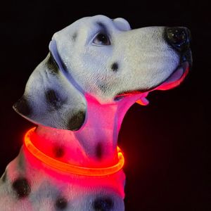 Katzenhalsbänder führen Hundehalsband wiederaufladbar Willkommen Mode gedruckt guter Preis geführtes Haustier
