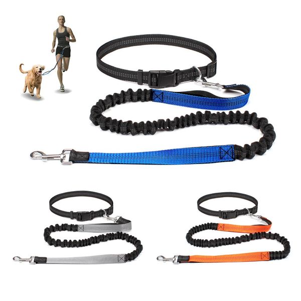 Colliers de chat mène la laisse de chien main libre pour la marche des animaux de compagnie en cours d'exécution Jogging laisse réglable ceinture de taille sangle de poitrine accessoires de corde de Traction 231017