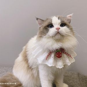 Cat Collars Leads Handgemaakte Leuke Strawberry Kraag Bib Vlinder Tie Accessoires Dog Jeweliva Handdoek