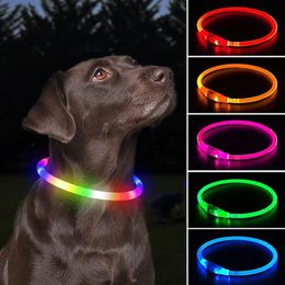 Collari per gatti Guinzagli Collare luminoso per cani a LED Usb 3 modalità Luce incandescente Prevenzione della perdita LED per cani di taglia grande Accessori per animali domestici 231027