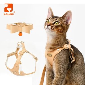 Cat Collars Leads Loudik luxe Custom Cat Harness Collar Lease Set Laser ID Naam Plaat Verstelbaar zacht leer Kleine Pet Leads Walking Accessoire 231009